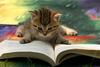 Cat Book Image